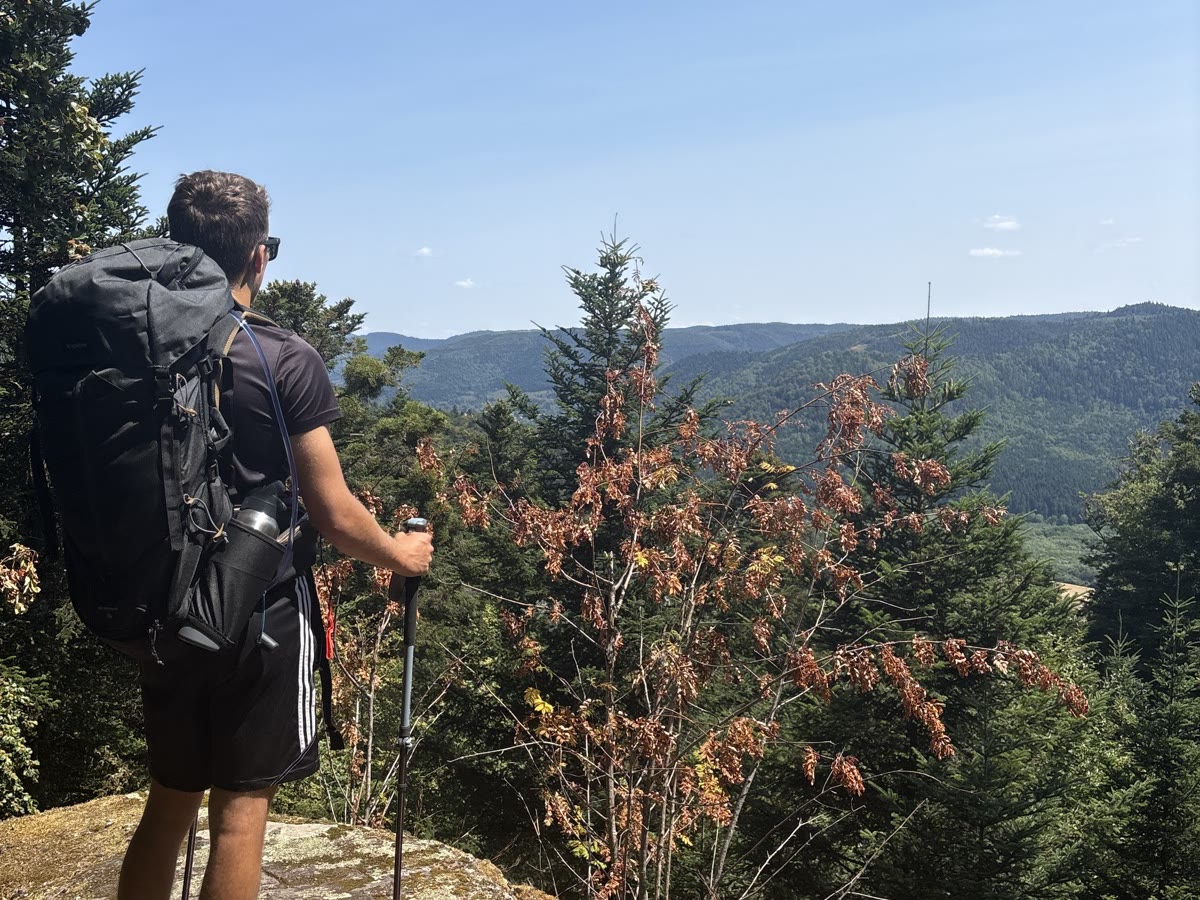 Enzo de dos, sac sur le dos, face à une vallée boisée